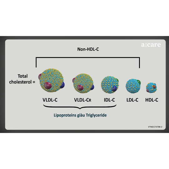 Cơ chế bệnh sinh khi Triglyceride tăng cao